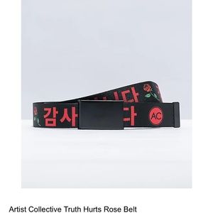 Zumie belt